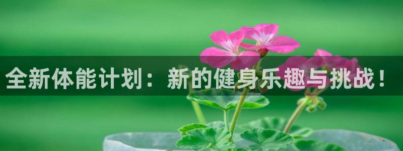 意昂4凯捷平台注册链接