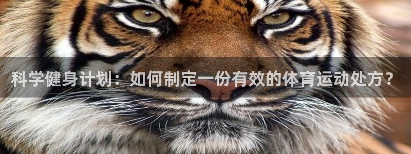 意昂4电子有限公司