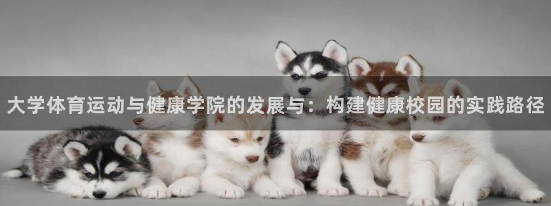 意昂4登录
