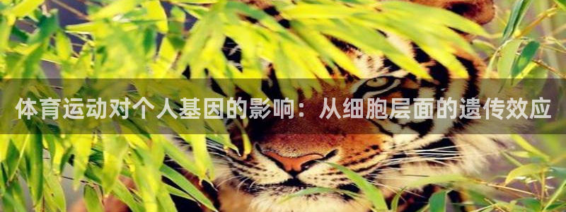 意昂45注册
