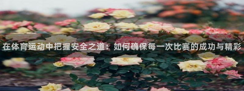 意昂4官网