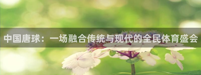意昂45招商