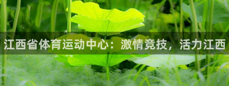 意昂4招商