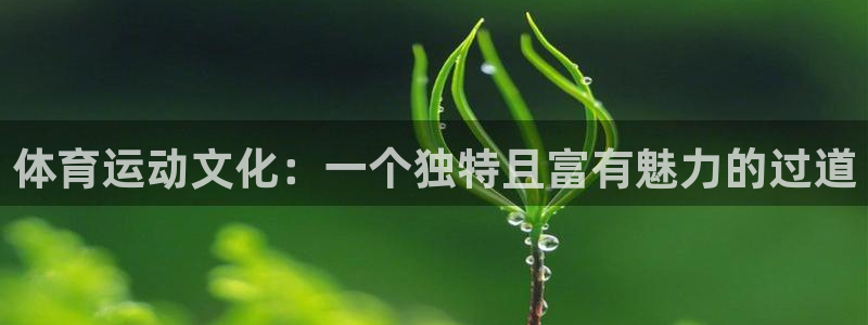 意昂4注册
