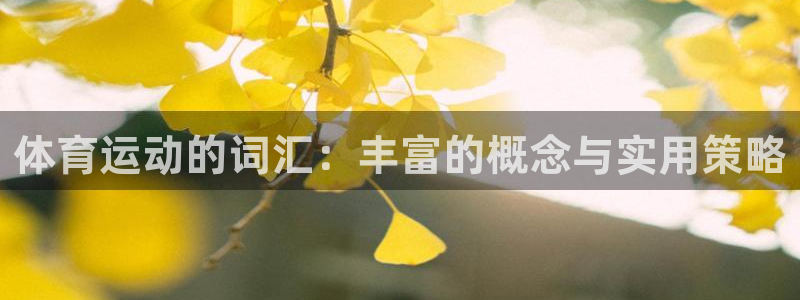 意昂4体育和杏耀是哪个公司的