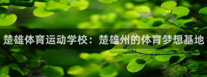意昂4在线开号